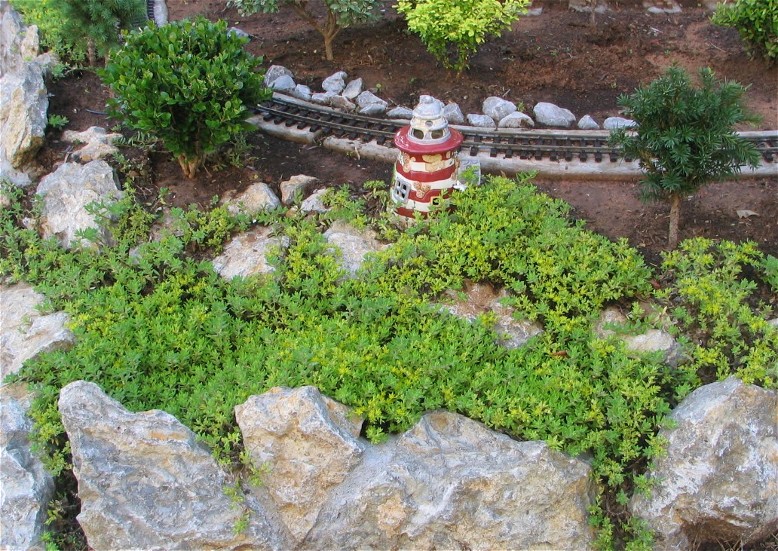 Sedum bed along rockwork