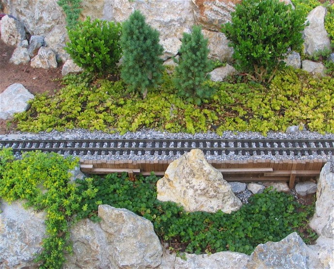 Mixed beds of sedum, golden moneywort, and green moneywort