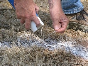 Painting the track layout on the ground